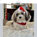 Grace Profile Picture