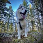 Marlies Jakob Profile Picture