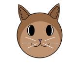 Dee Evans Profile Picture