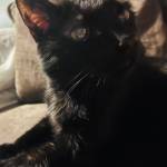 Kellzworld Profile Picture