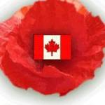 Heather AE MacDonald Profile Picture