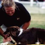 Cindy Swiney Profile Picture