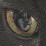 Luke Maynard Profile Picture