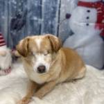 manxmargy Profile Picture