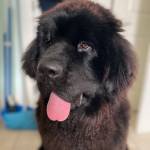 Cathy C Profile Picture