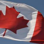 Dale Smythe Profile Picture