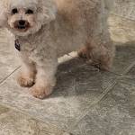 Sis0991 Profile Picture