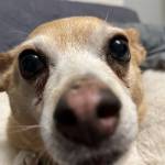Monty Jones Profile Picture