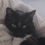Leah Payne Profile Picture