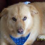 Goldie Hagge Profile Picture
