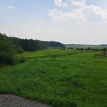 Alexander Breault Profile Picture