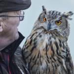 Preben Schopzinsky profile picture